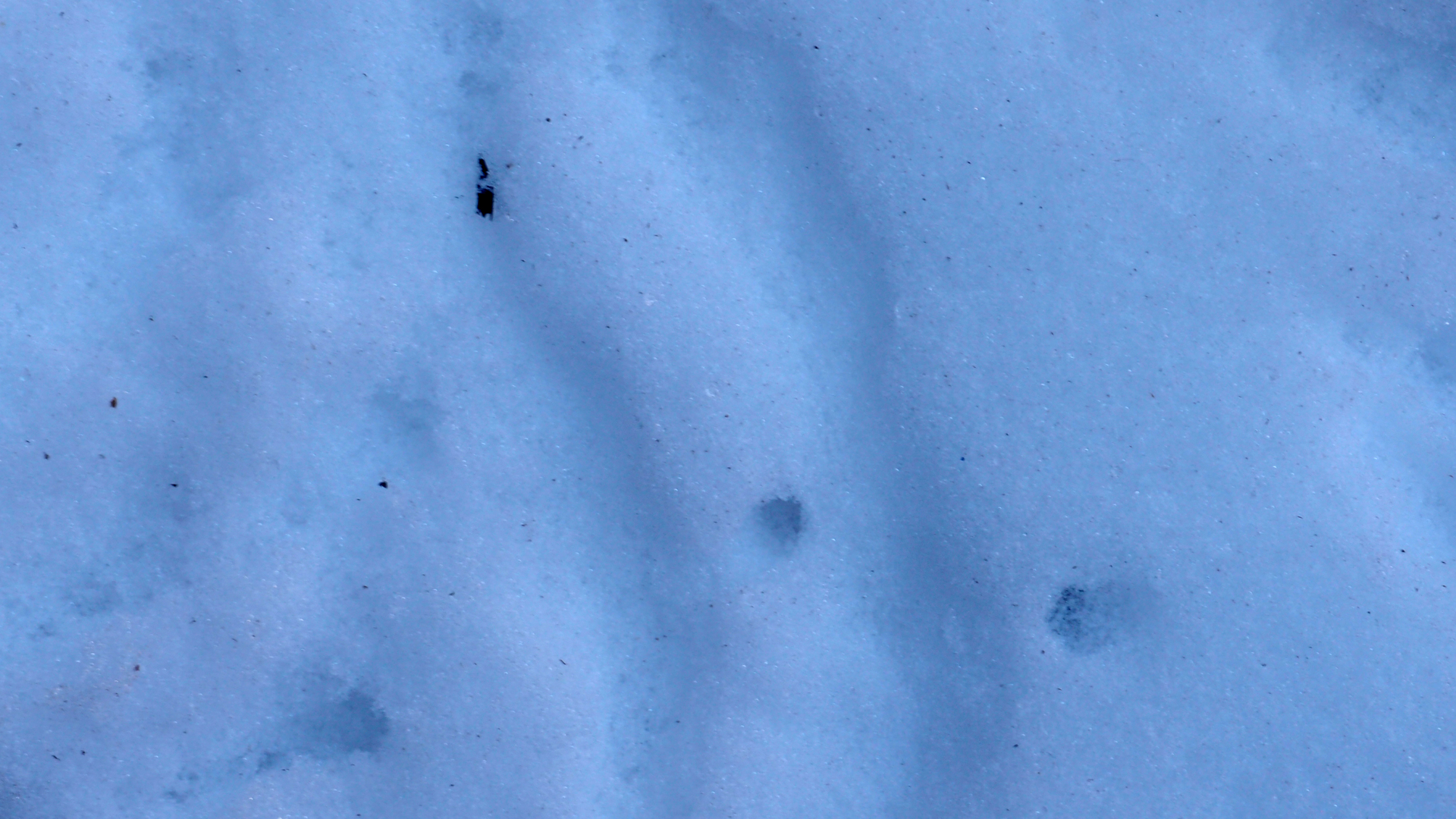 2021-01-30 Wasser in der Sple II (Remix John Cage 'Sonatas & Interludes', On-Off) (Komposition, Remix, Recording, Foto)